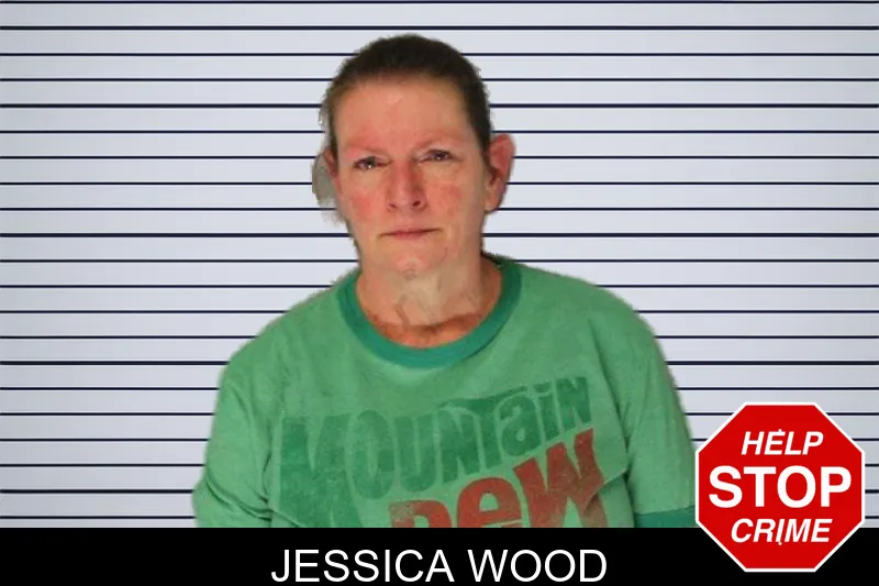 Jessica Wood mugshot