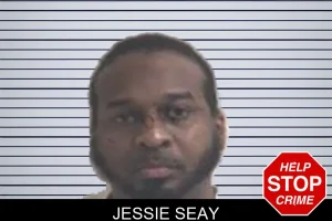 Jessie Seay mugshot