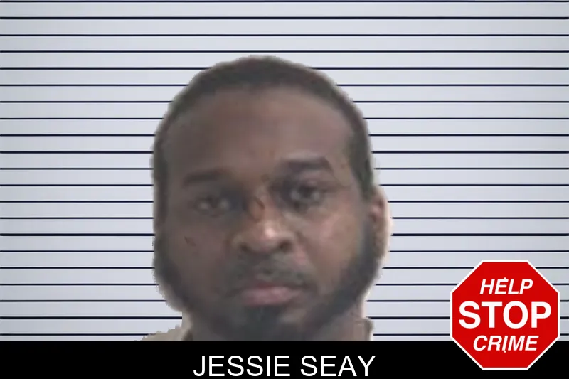 Jessie Seay mugshot