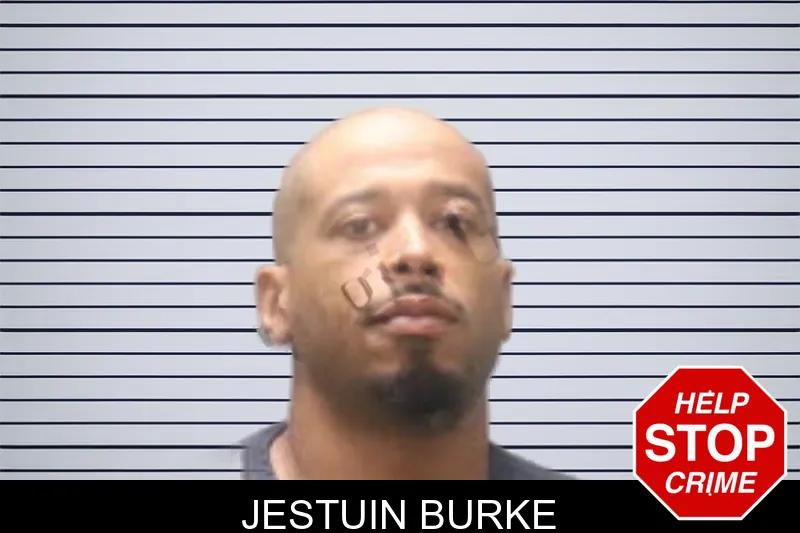 Jestuin Burke mugshot