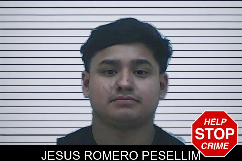 Jesus Romero Pesellim mugshot