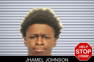 Jhamel Johnson mugshot