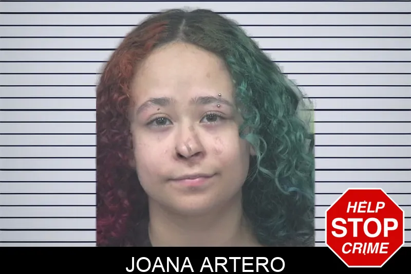 Joana Artero mugshot
