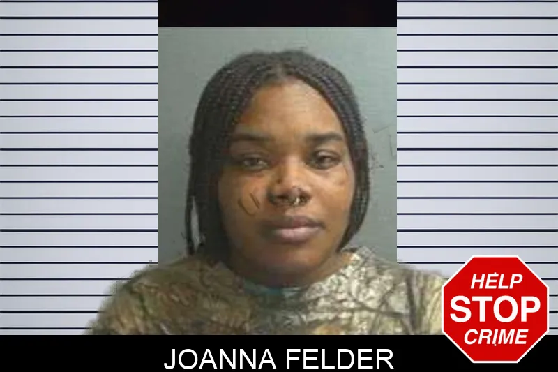Joanna Felder mugshot – Crisp County , Georgia Joanna Felder mugshot
