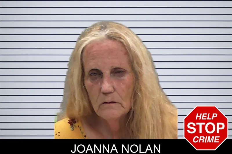 Joanna Nolan mugshot