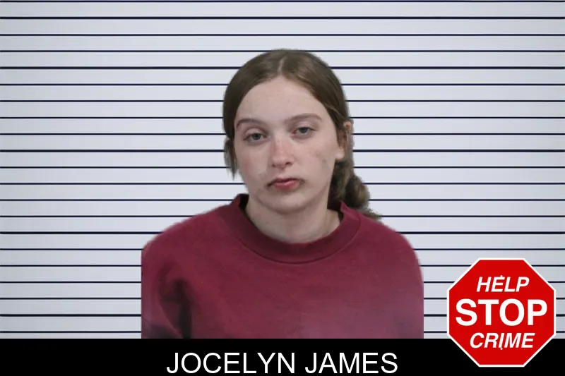 Jocelyn James mugshot