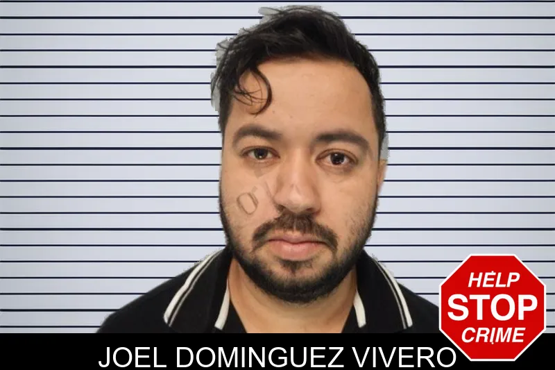 Joel Dominguez Vivero mugshot