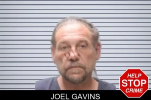 Joel Gavins mugshot