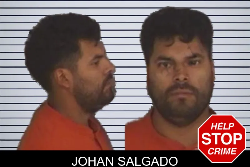 Johan Salgado mugshot