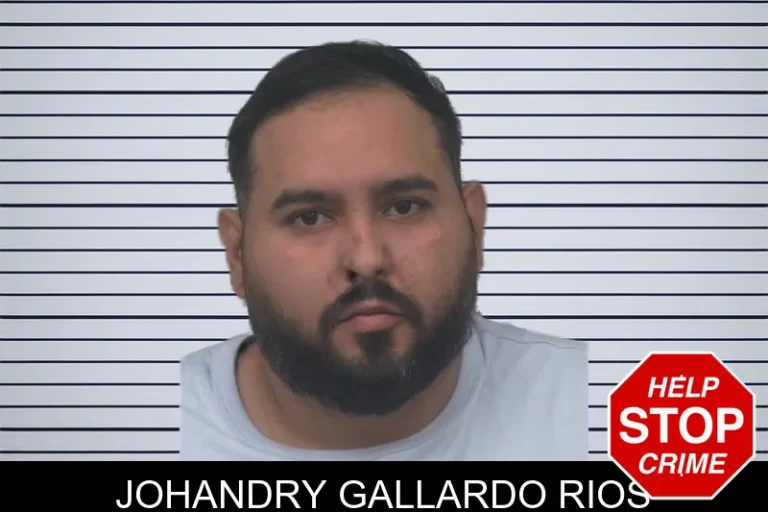 Johandry Gallardo Rios
