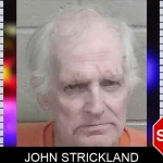 John Strickland mugshot – Wayne County , Georgia John Strickland mugshot