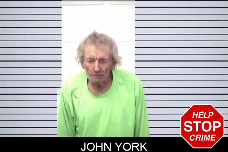 John York mugshot – Emanuel County , Georgia John York mugshot