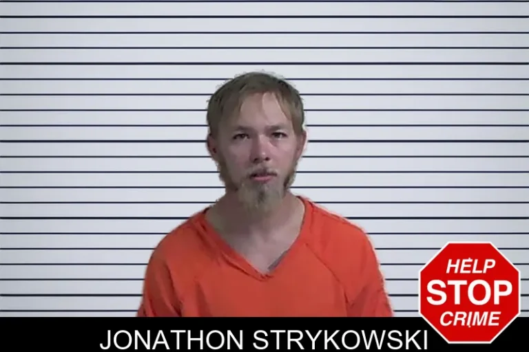 Jonathon Strykowski mugshot – Fannin County , Georgia Jonathon Strykowski