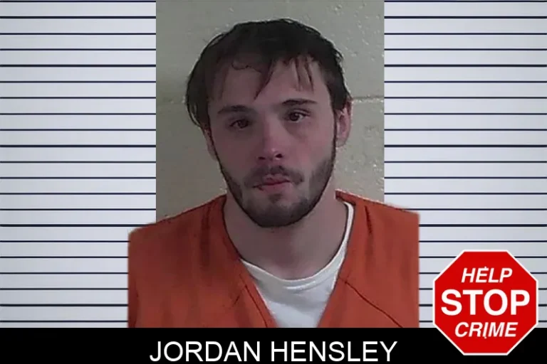Jordan Hensley mugshot – Fannin County , Georgia Jordan Hensley