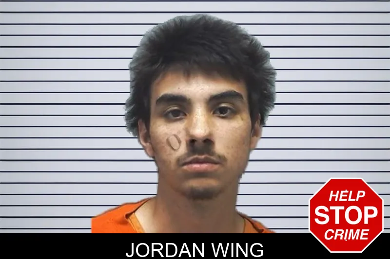 Jordan Wing mugshot