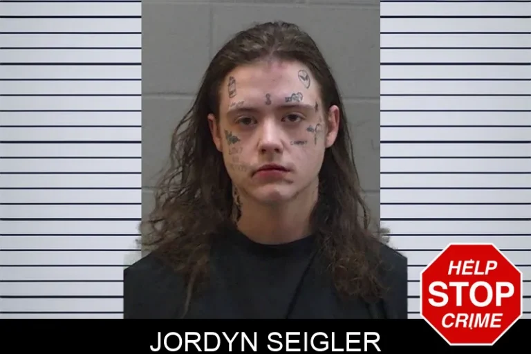 Jordyn Seigler mugshot – Madison County , Georgia Jordyn Seigler