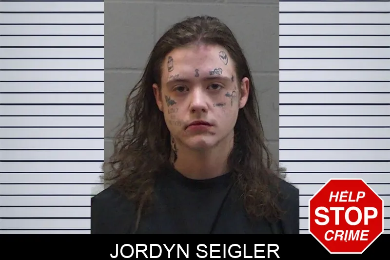 Jordyn Seigler mugshot – Madison County , Georgia Jordyn Seigler mugshot
