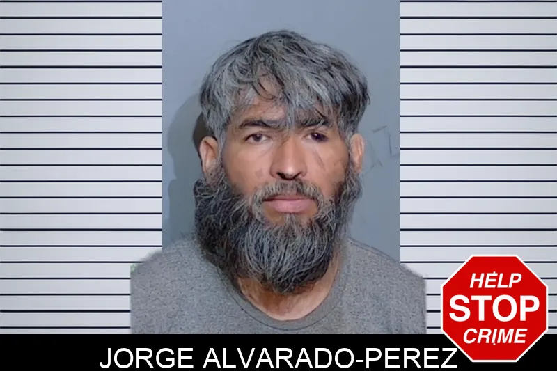 Jorge Alvarado-Perez mugshot – Glynn County , Georgia Jorge Alvarado-Perez mugshot