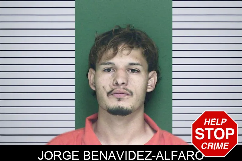 Jorge Benavidez-Alfaro mugshot