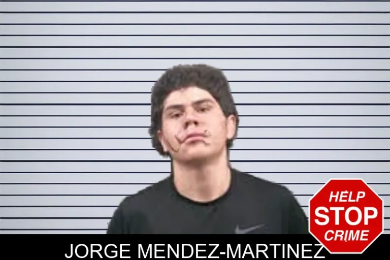 Jorge Mendez-Martinez