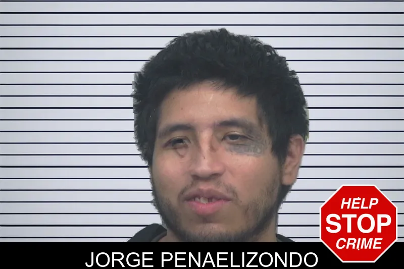 Jorge Penaelizondo mugshot – Gwinnett County , Georgia Jorge Penaelizondo mugshot