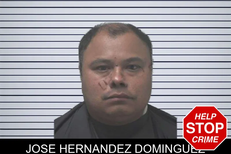 Jose Hernandez Dominguez mugshot