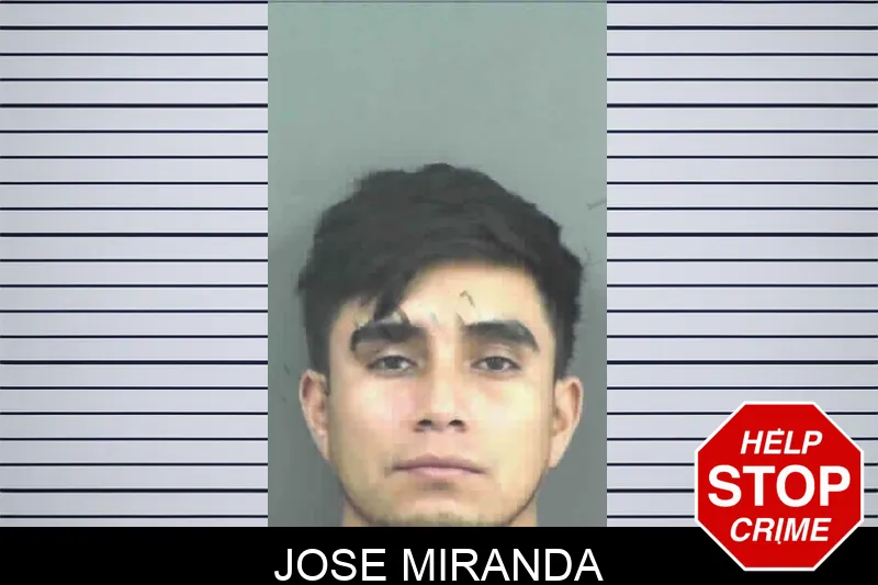 Jose Miranda mugshot