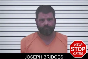 Joseph Bridges mugshot