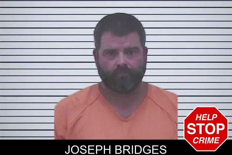 Joseph Bridges mugshot