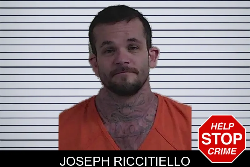 Joseph Riccitiello mugshot