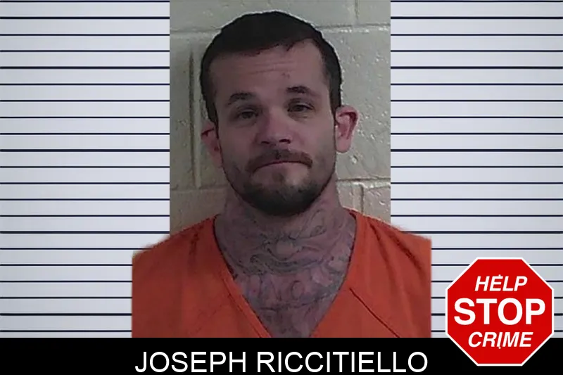 Joseph Riccitiello mugshot