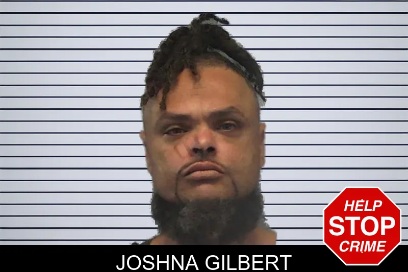 Joshna Gilbert mugshot