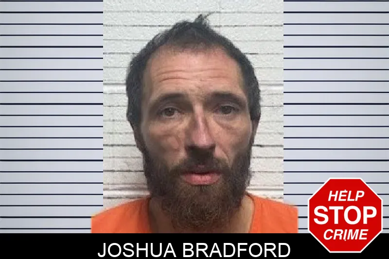 Joshua Bradford mugshot – Dade County , Georgia Joshua Bradford mugshot