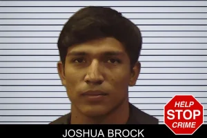 Joshua Brock mugshot