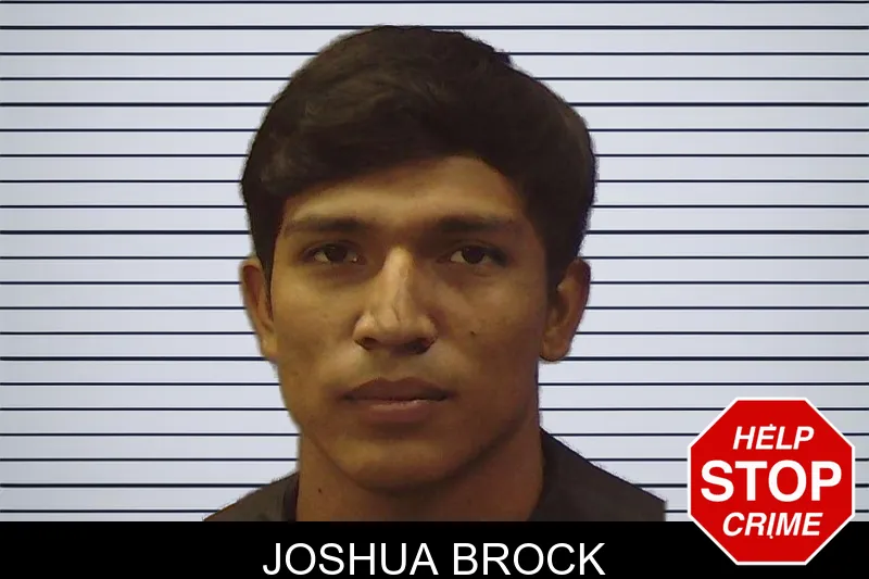 Joshua Brock mugshot