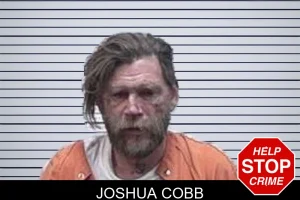 Joshua Cobb mugshot