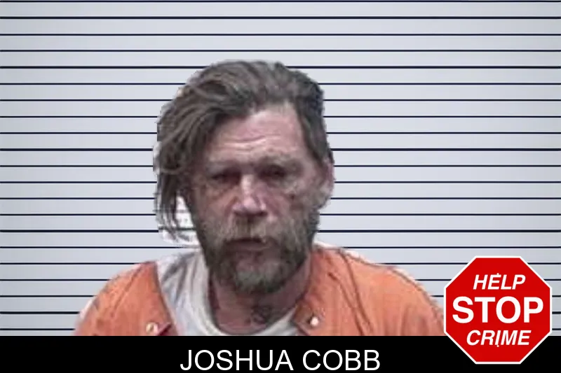 Joshua Cobb mugshot