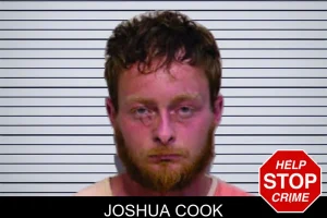 Joshua Cook mugshot