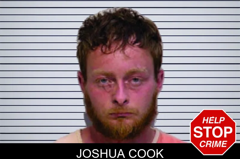 Joshua Cook mugshot