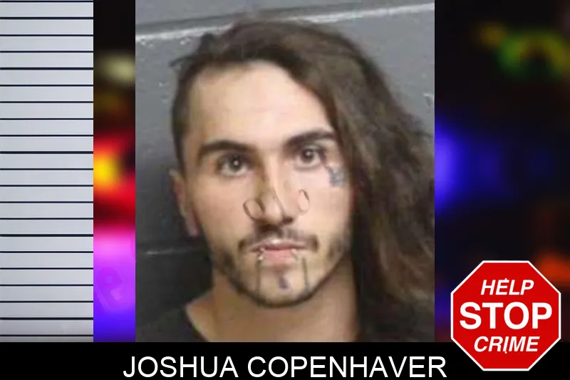 Joshua Copenhaver mugshot – Bacon County , Georgia Joshua Copenhaver mugshot