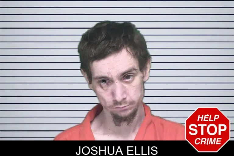 Joshua Ellis mugshot – Appling County , Georgia Joshua Ellis