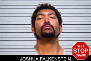 Joshua Falkenstein mugshot