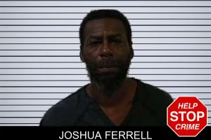 Joshua Ferrell mugshot