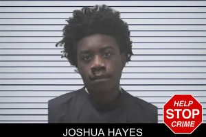 Joshua Hayes mugshot
