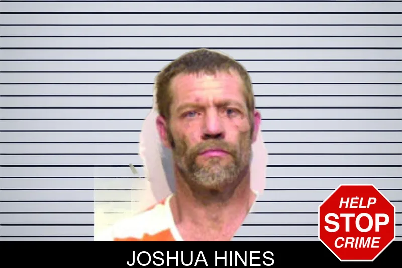Joshua Hines mugshot