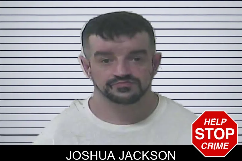 Joshua Jackson mugshot