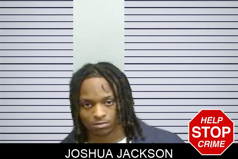 Joshua Jackson mugshot
