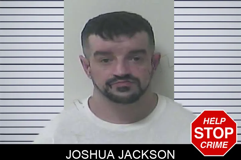 Joshua Jackson mugshot