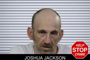 Joshua Jackson mugshot