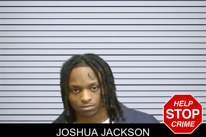 Joshua Jackson mugshot